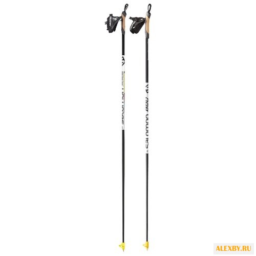 Лыжные палки Salomon S lab Carbon