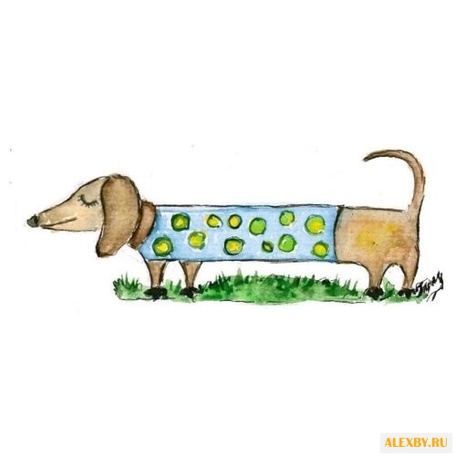 Цветной Набор алмазной вышивки