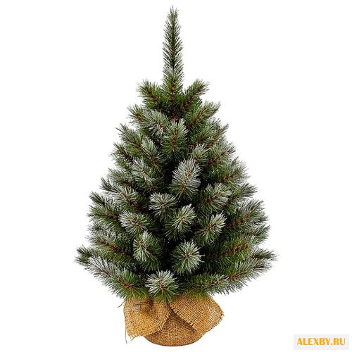 Triumph Tree Сосна Женева