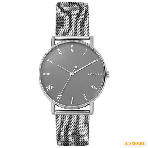 Наручные часы SKAGEN SKW6428