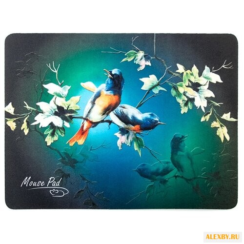 Коврик Dialog PM-H17 Bird