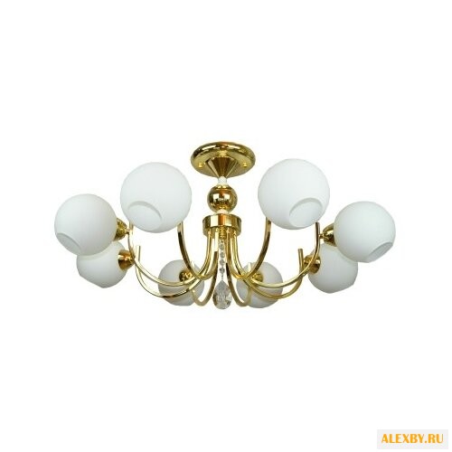 Colosseo 82801 8C Natale