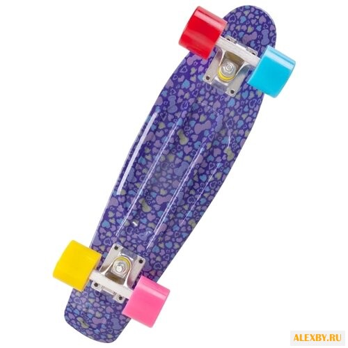 Лонгборд RGX PNB-04