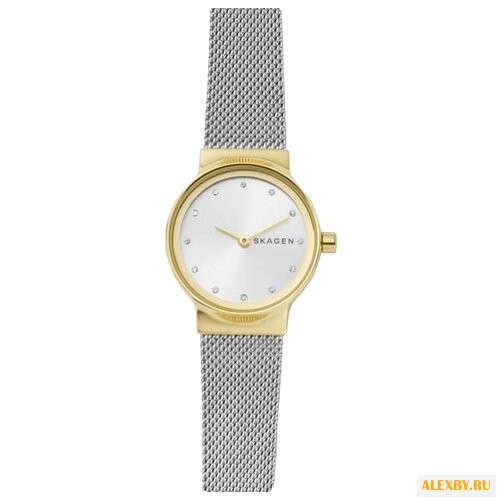 Наручные часы SKAGEN SKW2666