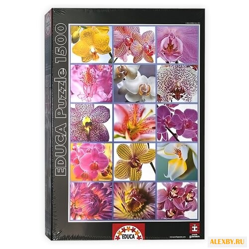 Пазл Educa Цветы коллаж 16302