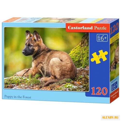 Пазл Castorland Puppy in the