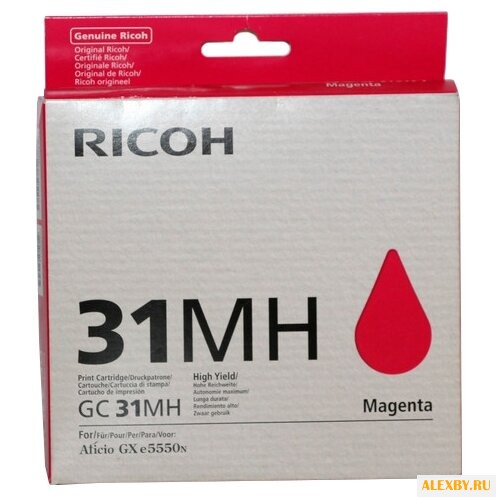 Картридж Ricoh GC 31MH