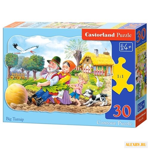 Пазл Castorland Turnip B-03242