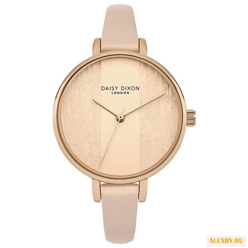 Наручные часы DAISY DIXON DD045RG