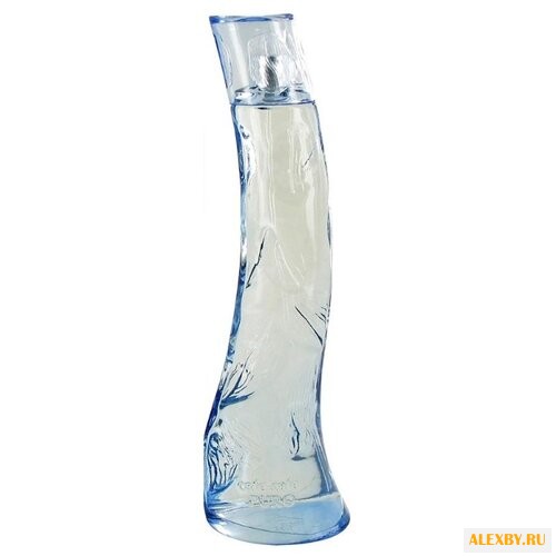 Cafe Parfums Iced pour Femme