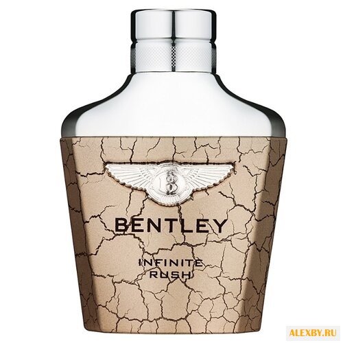 Bentley Infinite Rush