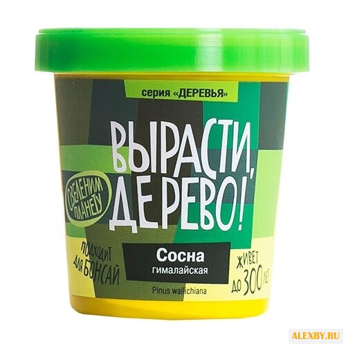 Набор для выращивания Вырасти