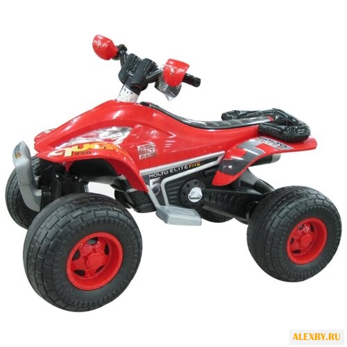 Полесье Квадроцикл Molto Elite