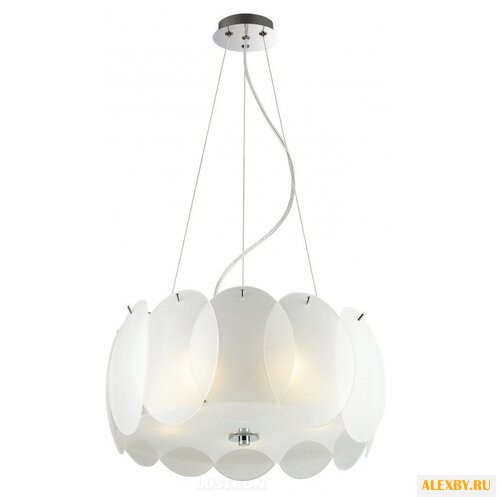 Favourite FV 1685-5P