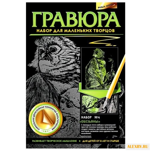 Гравюра Фантазёр Обезьяны N4