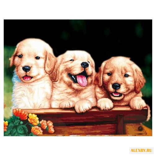 Цветной Набор алмазной вышивки