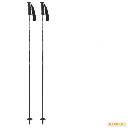 Палки для горных лыж Swix