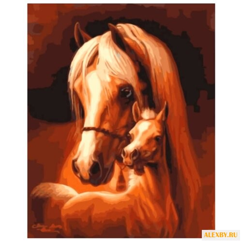 Цветной Картина по номерам