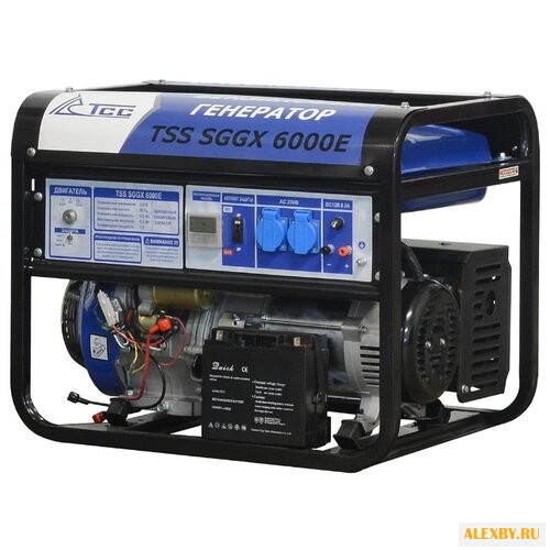 Бензиновая электростанция ТСС