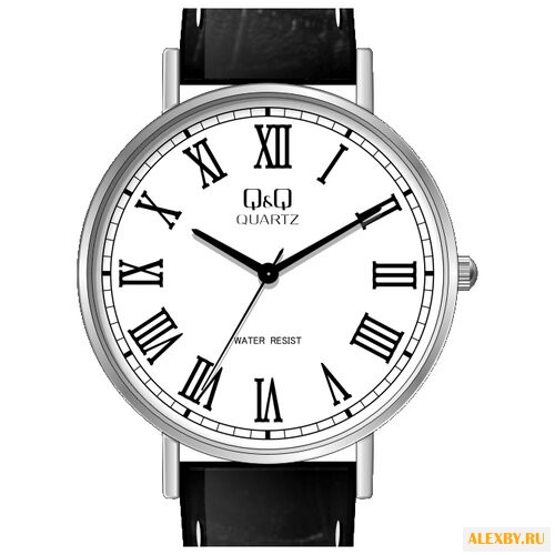 Наручные часы Q&Q Q978 J806