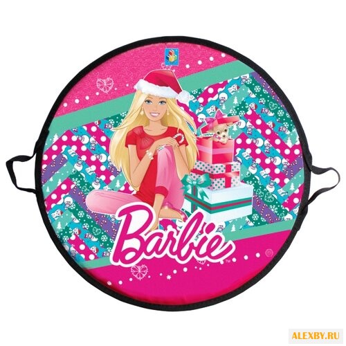 Ледянка 1 TOY Barbie Т58482