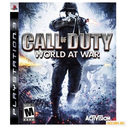 Call of Duty: World at War