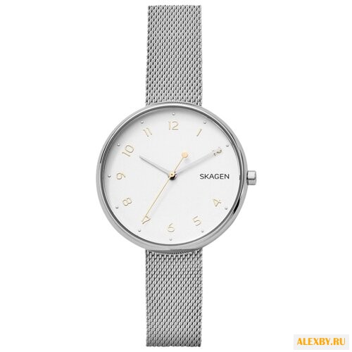 Наручные часы SKAGEN SKW2623