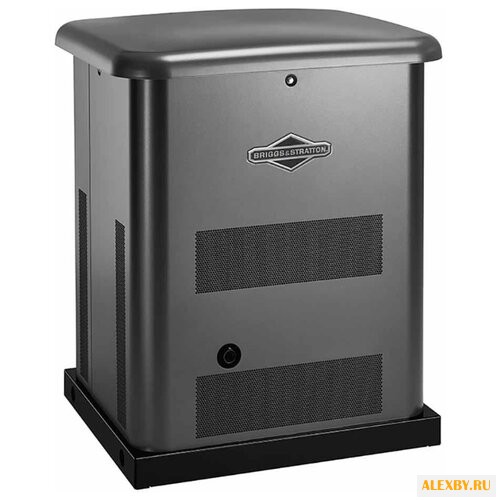 Газовая электростанция BRIGGS &