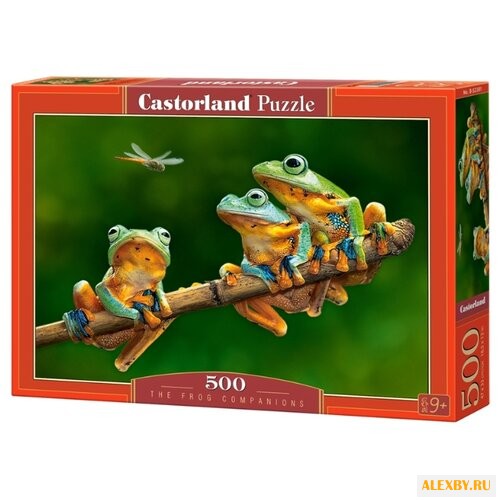 Пазл Castorland The Frog