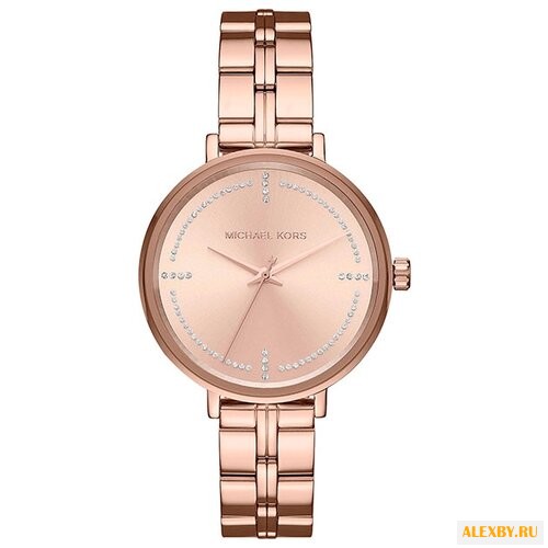 Наручные часы MICHAEL KORS MK3793