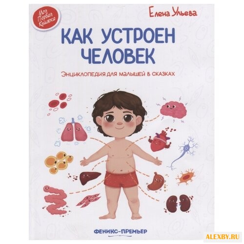 Ульева Е. Как устроен человек.