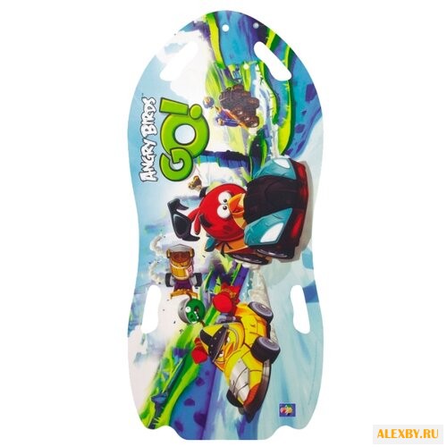 Ледянка 1 TOY Angry Birds Т57214