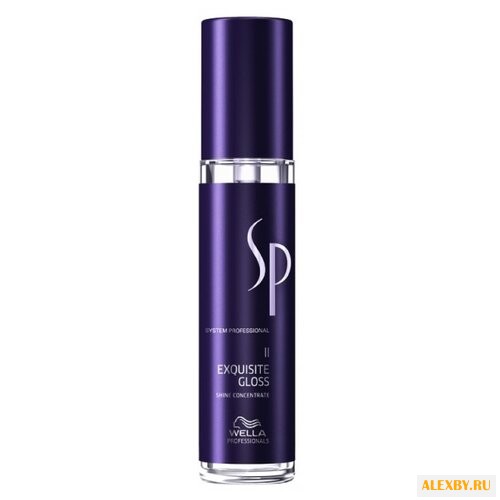 SYSTEM PROFESSIONAL STYLING