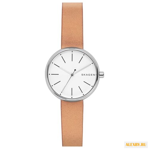 Наручные часы SKAGEN SKW2594