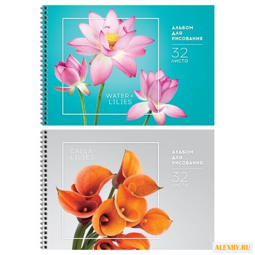 Альбом для рисования ArtSpace