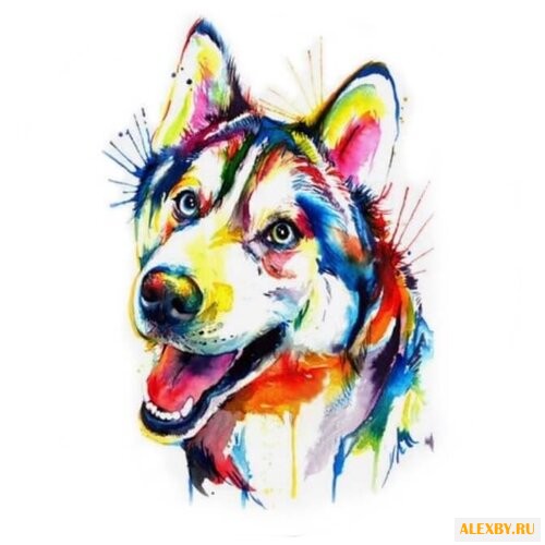 Цветной Набор алмазной вышивки