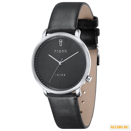 Наручные часы FJORD FJ-3031-05