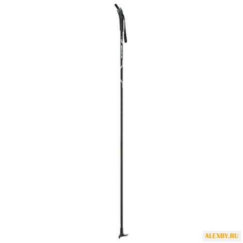 Лыжные палки Swix Nordic