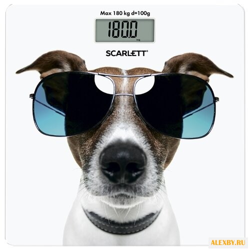 Весы Scarlett SC-BS33E090