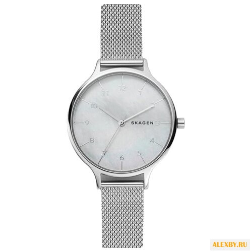 Наручные часы SKAGEN SKW2701
