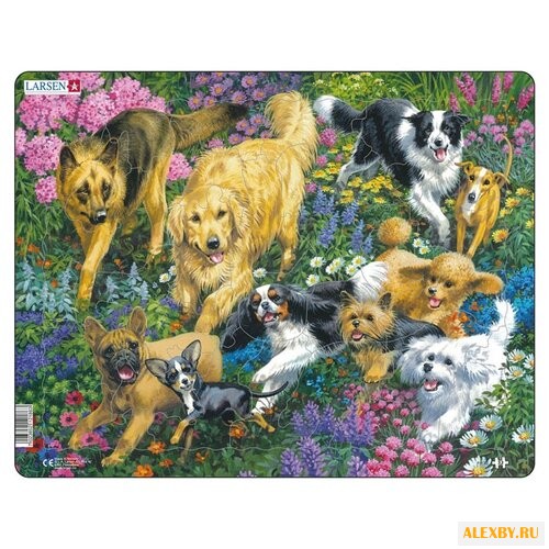 Рамка-вкладыш Larsen Собаки