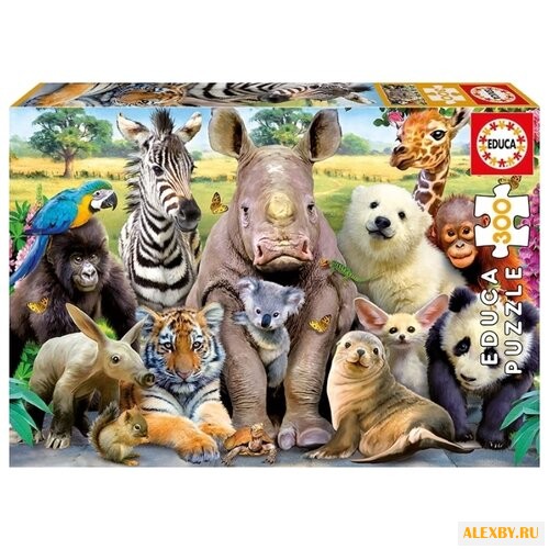 Пазл Educa Классное фото 15908