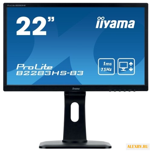 Монитор Iiyama ProLite B2283HS-3