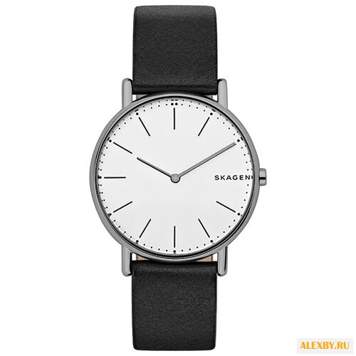 Наручные часы SKAGEN SKW6419