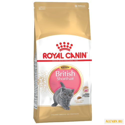 Корм для кошек Royal Canin