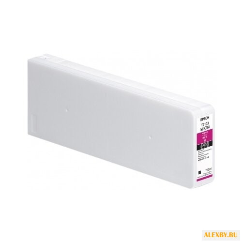 Картридж Epson C13T710300
