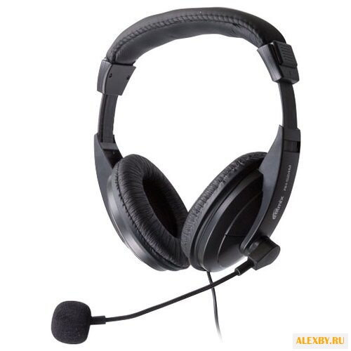 Компьютерная гарнитура Ritmix