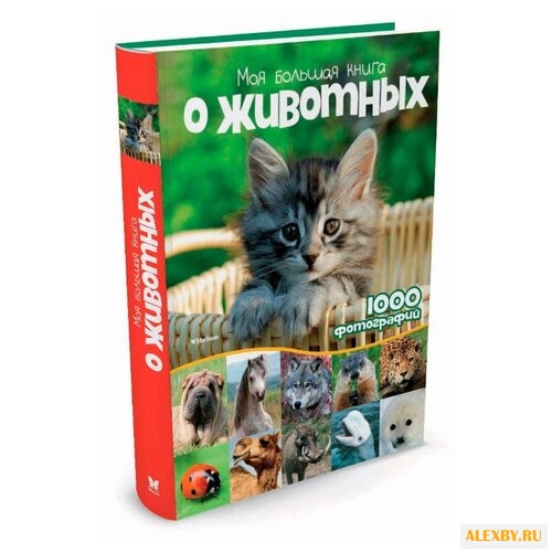 Куйе Н. Моя большая книга о
