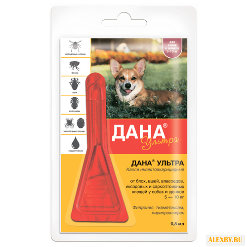 Api-San Дана Ультра для собак и