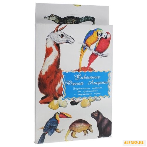 Набор карточек Маленький гений